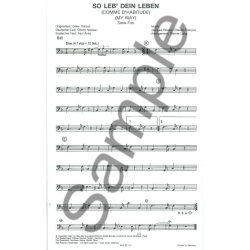 MY WAY ES GIBT NUR EIN PARIS BK BND PF COND/PTS