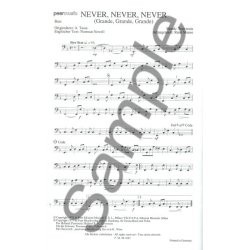 NEVER, NEVER SEA OF LOVE BK BND PTS XL SET