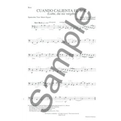 CUANDO CALIENTA SOL GREAT PRETENDER BK BND PF COND/PTS