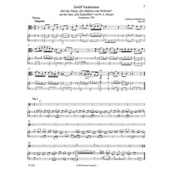 Ein M&auml;dchen oder Weibchen : 12 Variationen aus der Zauberfl&ouml;te, Op. 66