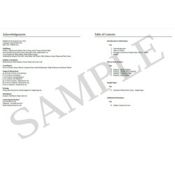 Rockschool: Popular Music Theory Workbook (Debut)