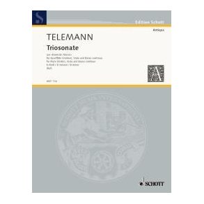 Triosonata B minor : from Essercizii Musici