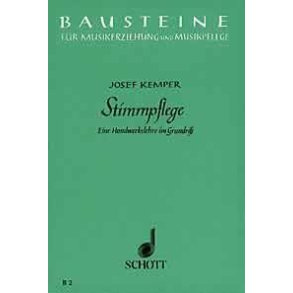Stimmpflege : Eine Handwerkslehre im Grundriss