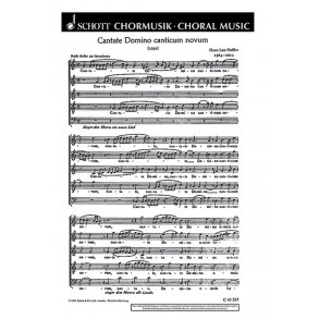 Cantate Domino canticum novum : Motette