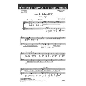 18 Chorlieder : 10. In steiler Felsen Hoh' - Senkim a vilagon