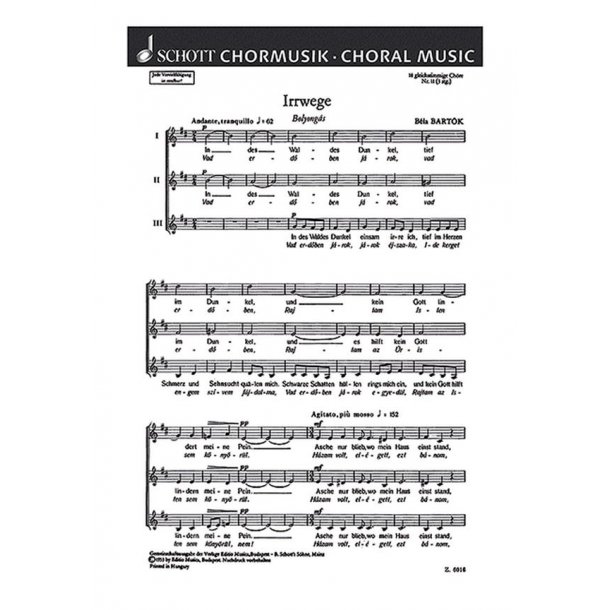18 Chorlieder : 11. Irrwege - Bolyongas