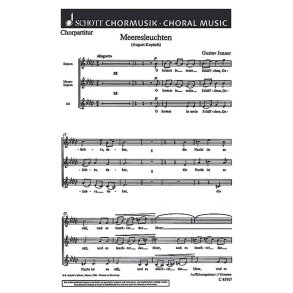 Meeresleuchten : O komm in mein Schiffchen