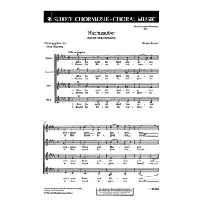 Drei Eichendorff-Gesange : 2. Nachtzauber: Horst du nicht die Quellen gehen