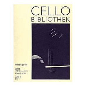 Sonata D Minor : (Allegro deciso)