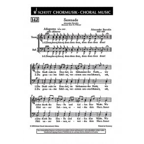 Serenade : Die Stadt ruht im Dunkel