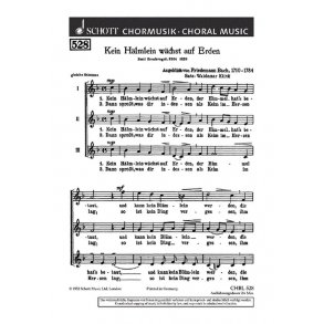 Kein Halmlein wachst auf Erden