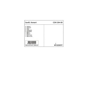 Concerto E Minor op. 140 : Petit Concerto