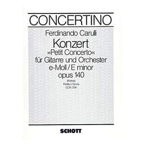 Concerto E Minor op. 140 : Petit Concerto