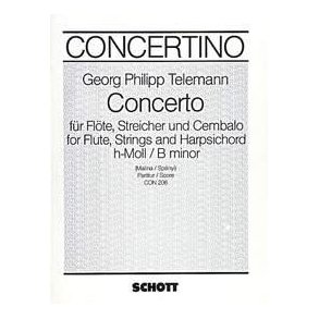 Concerto B minor