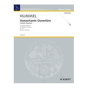 Concert Overture op. 13c : for chamber orchestra