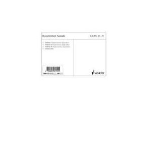 Sonata A minor op. 34/6