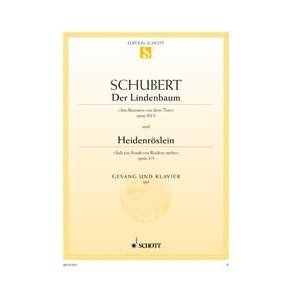 Lindenbaum & Heidenroslein