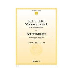 Wandrers Nachtlied II-Der Wanderer