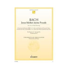 Jesus bleibet meine Freude BWV 147 : Choral aus der Kantate Nr. 147 Herz und Mund und Tat und Leben