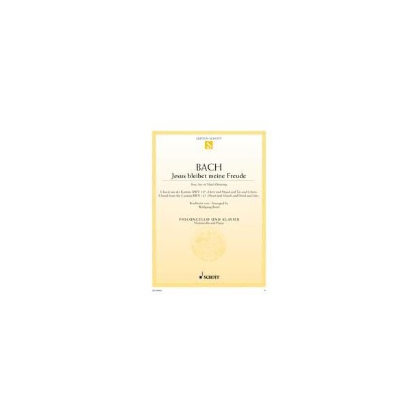Jesus bleibet meine Freude BWV 147 : Choral aus der Kantate Nr. 147 Herz und Mund und Tat und Leben