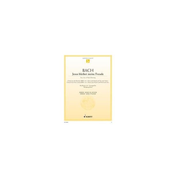 Jesus bleibet meine Freude : Choral aus der Kantate Nr. 147 Herz und Mund und Tat und Leben