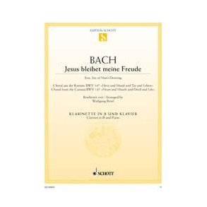 Jesus bleibet meine Freude BWV 147 : Choral aus der Kantate Nr. 147 Herz und Mund und Tat und Leben