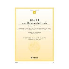 Jesus bleibet meine Freude BWV 147 : Choral aus der Kantate Nr. 147 Herz und Mund und Tat und Leben