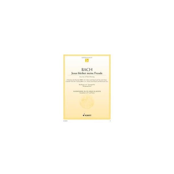 Jesus bleibet meine Freude BWV 147 : Choral aus der Kantate Nr. 147 Herz und Mund und Tat und Leben