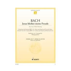 Jesus bleibet meine Freude BWV 147 : Choral aus der Kantate Nr. 147 Herz und Mund und Tat und Leben