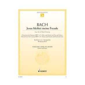 Jesus bleibet meine Freude : Choral aus der Kantate Nr. 147 Herz und Mund und Tat und Leben