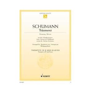 Träumerei op. 15/7 : aus den Kinderszenen