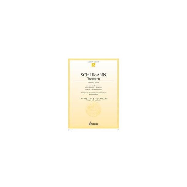 Tr&auml;umerei op. 15/7 : aus den Kinderszenen