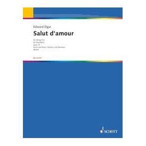 Salut d'amour D major op. 12