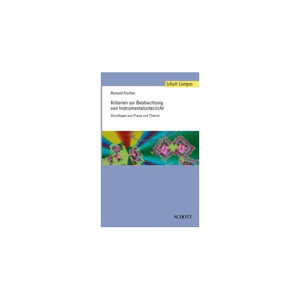 Kriterien zur Beobachtung Instrumentalunterricht : Grundlagen aus Praxis und Theorie
