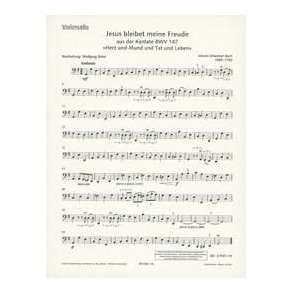 Jesu, Joy of Man's Desiring BWV 147 : Chorale from the Cantata No. 147 Heart and Mouth and Deed and Life