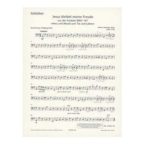 Jesu, Joy of Man's Desiring BWV 147 : Chorale from the Cantata No. 147 Heart and Mouth and Deed and Life