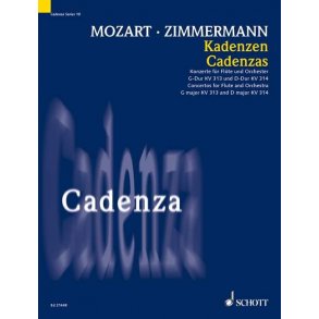 Cadenzas : Concertos for Flute and Orchestra G major KV 313 and D-major KV 314 by W. A. Mozart