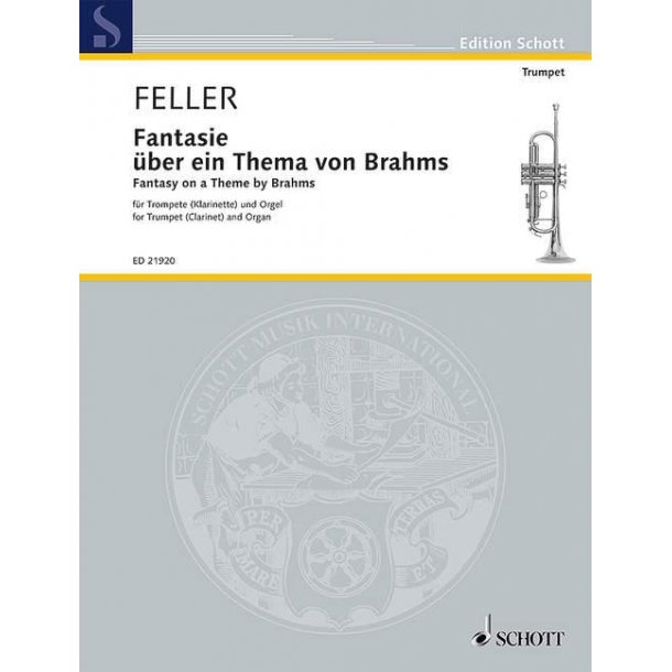 Fantasy on a Theme by Brahms