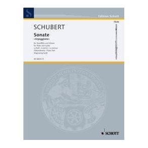 Sonata Arpeggione D 821 : A Minor