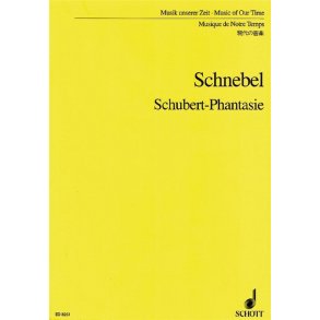 Schubert-Fantasy : (Re-Visionen I5)