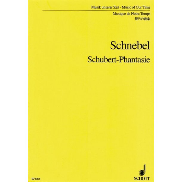 Schubert-Fantasy : (Re-Visionen I5)