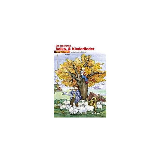 Die schonsten Volks- und Kinderlieder : sehr leicht bearbeitet