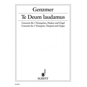 Te Deum laudamus GeWV 427 : Concerto