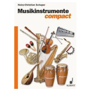 Musikinstrumente compact : Grundwissen und Praxis