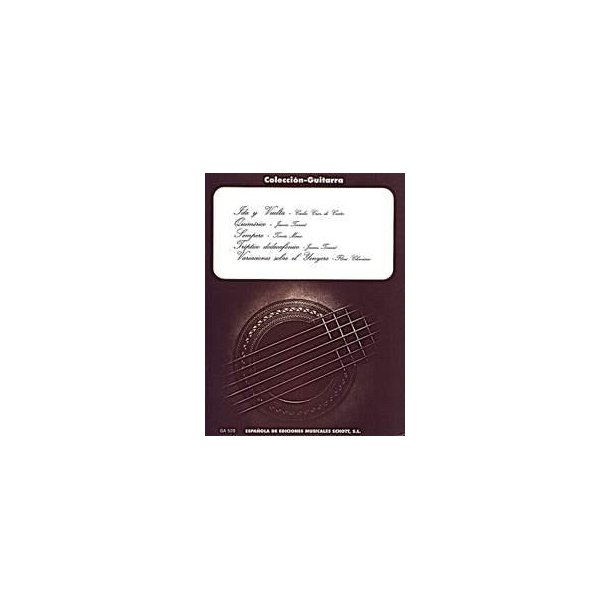 Colecci&oacute;n - Guitarra