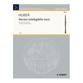 Noctes intelligibilis lucis