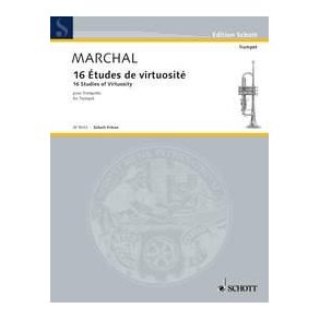 16 Studies of Virtuosity