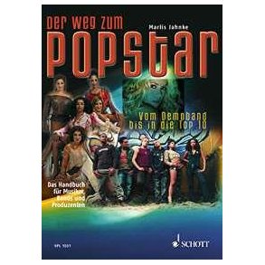 Der Weg zum Popstar : Vom Demo bis in die Top 10