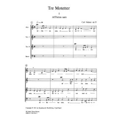 NIELSEN 3 MOTETTER OP.55