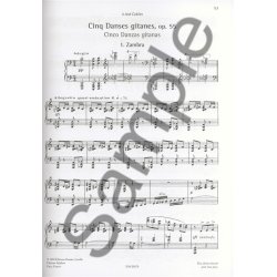 The Best Of Joaqu&iacute;n Turina In Twenty-Three Pieces For Piano